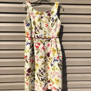Lands End Floral Dress 8 Petite
